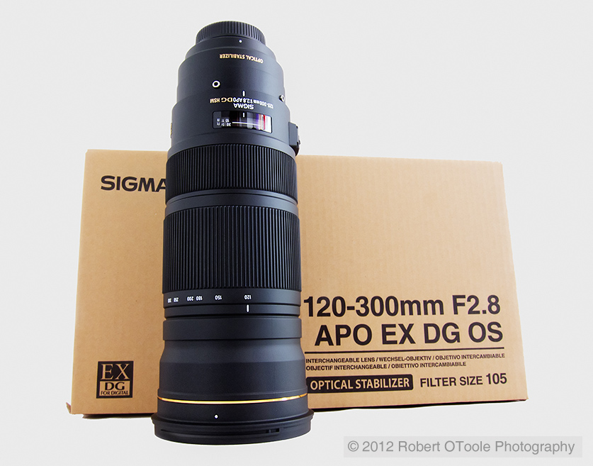 超歓迎 SIGMA EX APO DG 120-300mm F2.8 HSM - カメラ